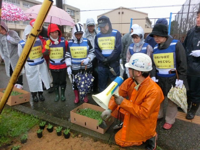 植栽活動