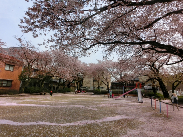 花見