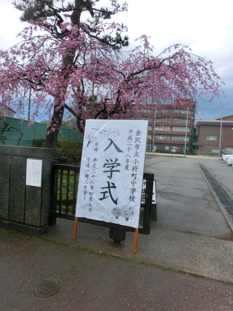 スタート将中