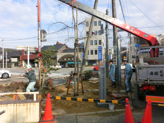 緑地帯改修工事